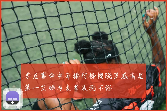 季后赛命中率排行榜揭晓罗威高居第一艾顿与麦基表现不俗